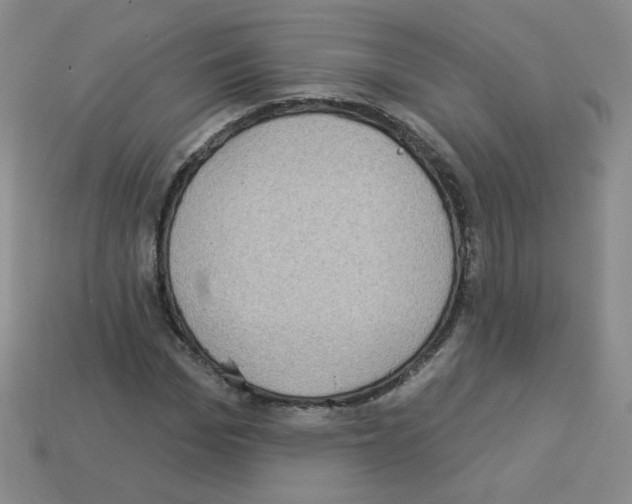 X0000112960969200910081042