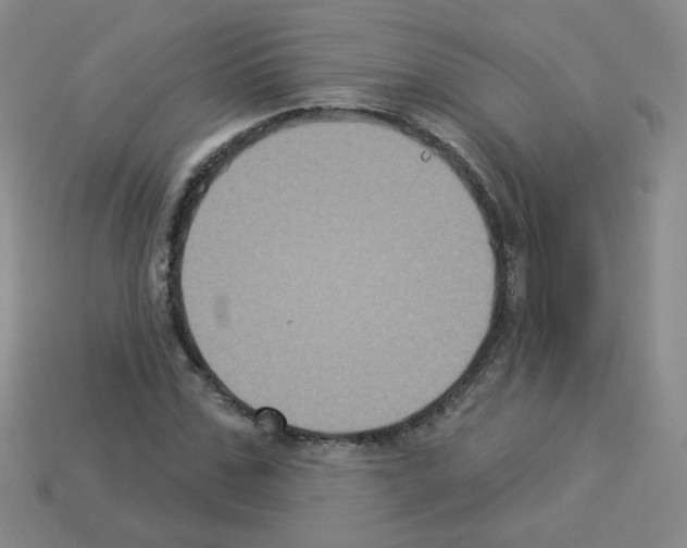 X0000112960971200910081042