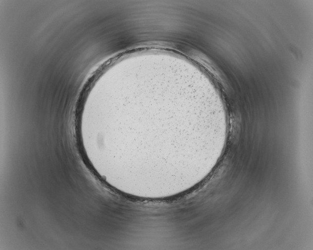 X0000112960972200910081042