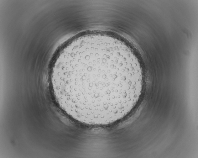 X0000112960974200910081042