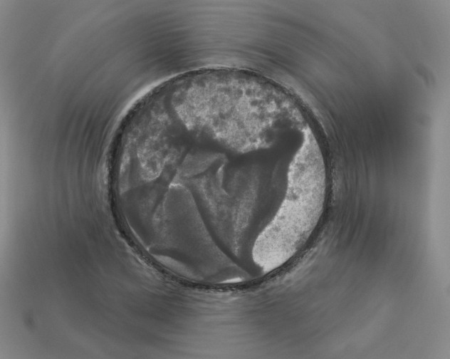 X0000112960975200910081042