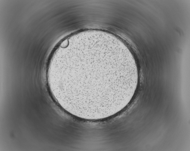 X0000112960976200910081042