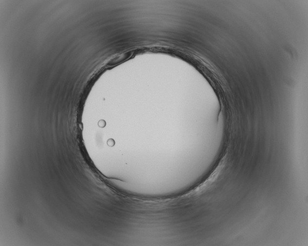 X0000112960977200910081042