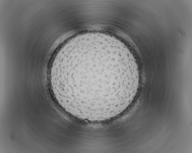 X0000112960978200910081042