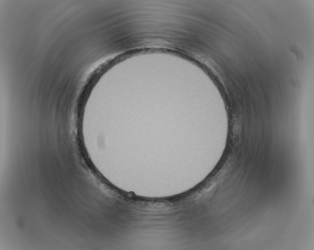 X0000112960979200910081042