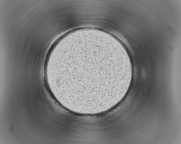 X0000112960980200910081042