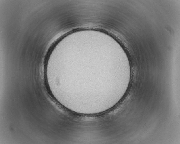 X0000112960982200910081042