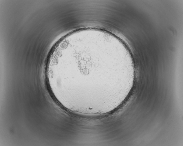 X0000112960983200910081042