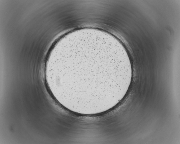 X0000112960984200910081042