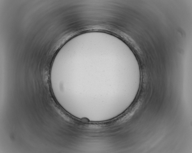 X0000112960985200910081042