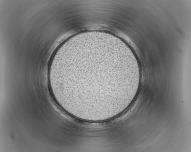 X0000112960986200910081042