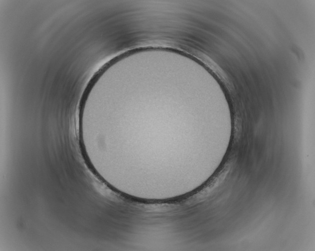 X0000112960988200910081042