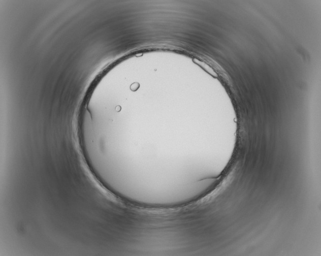 X0000112960989200910081042