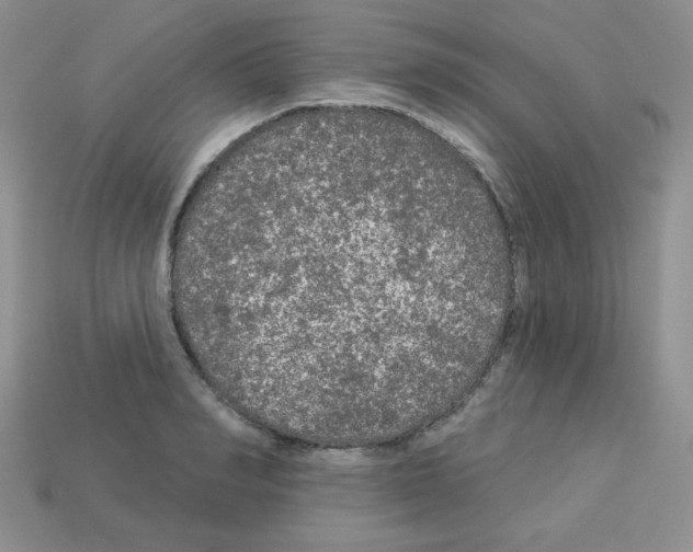 X0000112960990200910081042