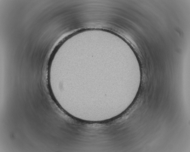 X0000112960992200910081042