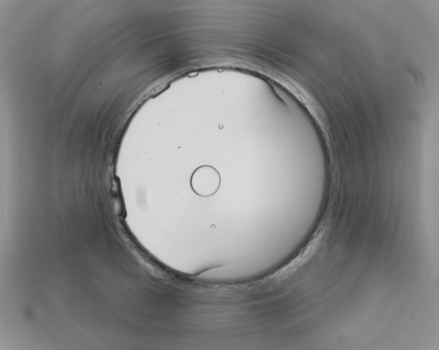 X0000112960993200910081042