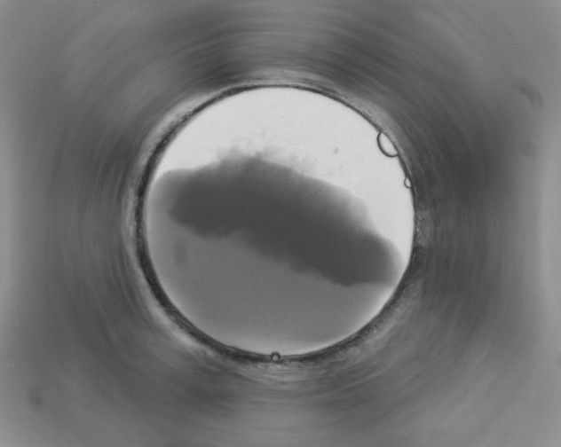 X0000112960995200910081042