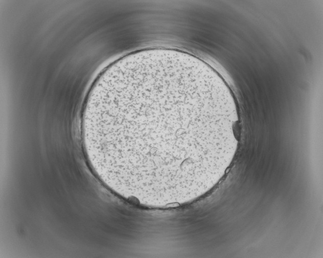 X0000112960996200910081042