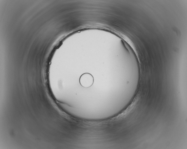 X0000112960997200910081042