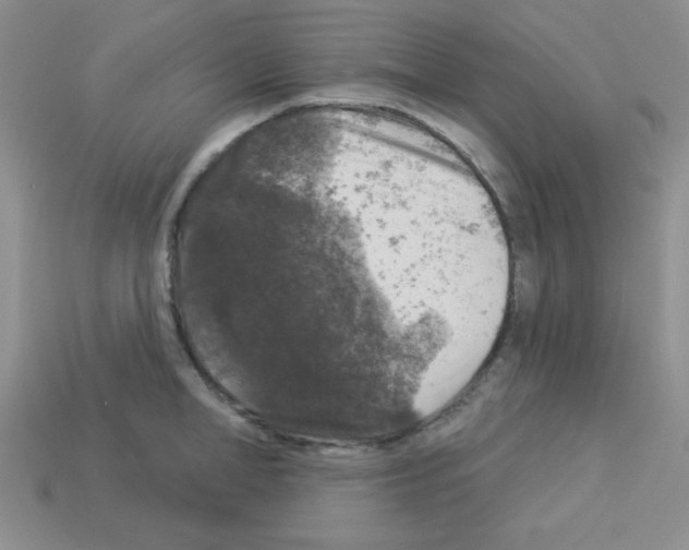 X0000112960998200910081042