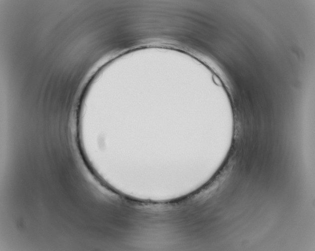 X0000112960999200910081042