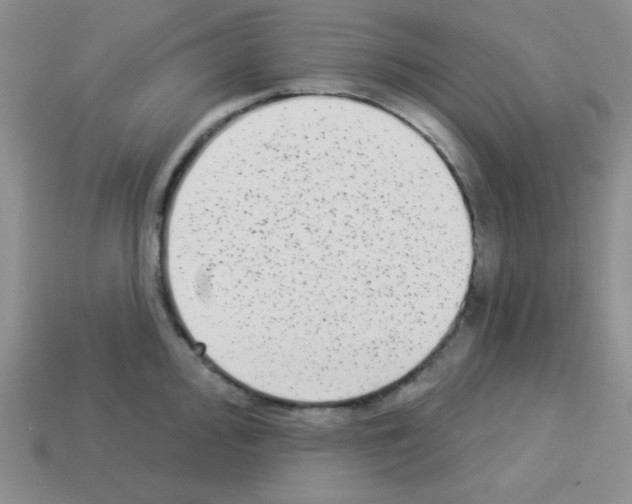 X0000112961000200910081042