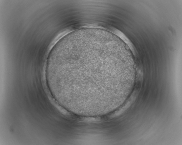 X0000112961002200910081042