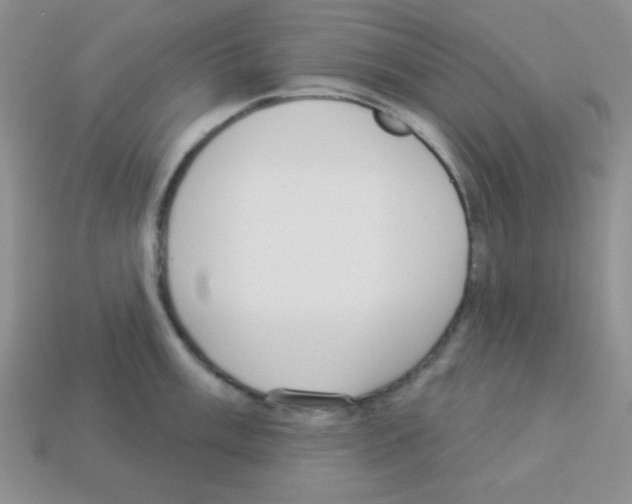 X0000112961003200910081042