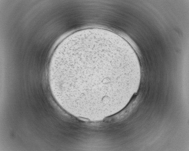 X0000112961004200910081042