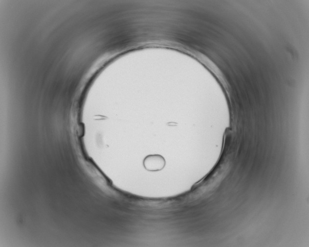 X0000112961005200910081042