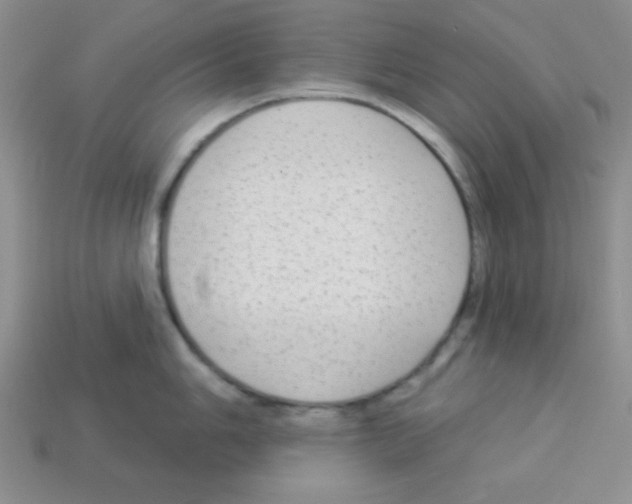 X0000112961006200910081042