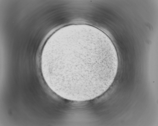 X0000112961008200910081042