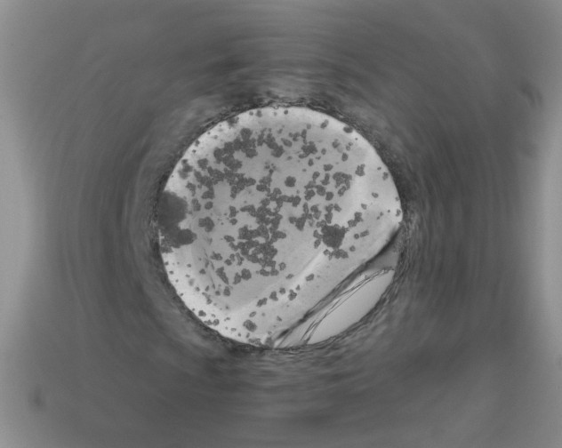 X0000112961009200910081041