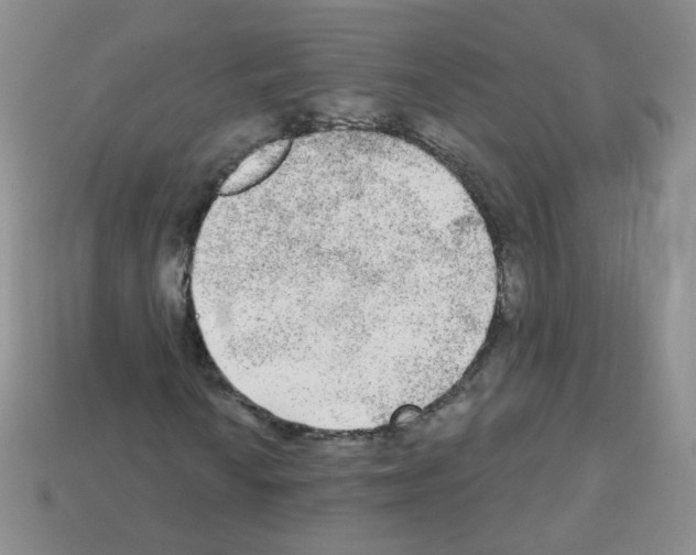 X0000112961010200910081041