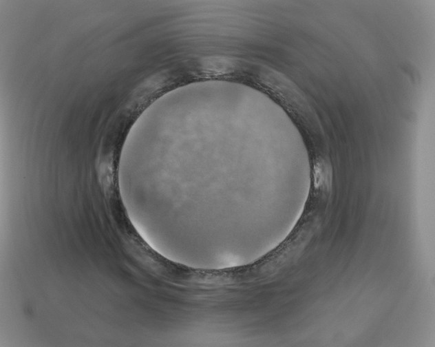 X0000112961011200910081041