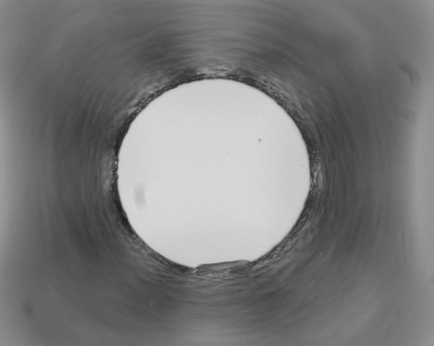 X0000112961012200910081041