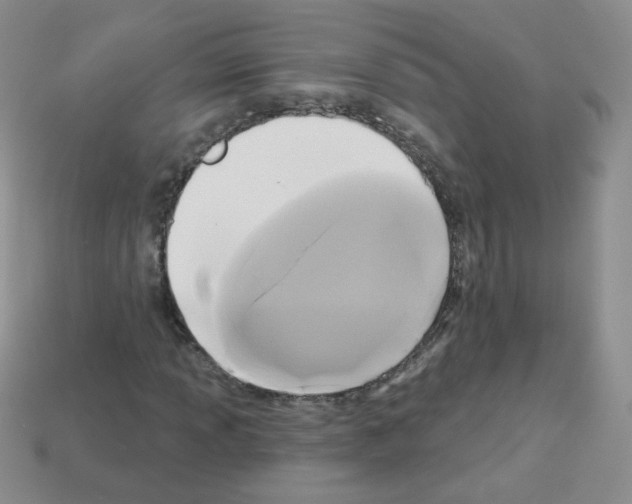 X0000112961013200910081041