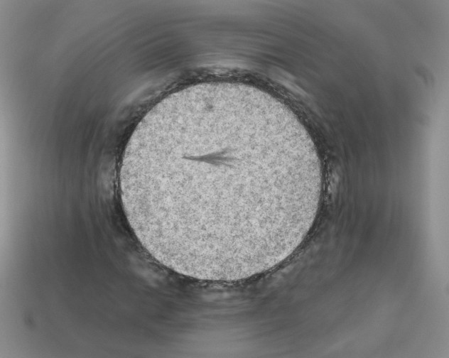 X0000112961014200910081041