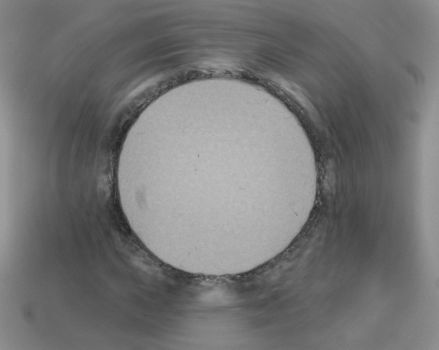 X0000112961015200910081041