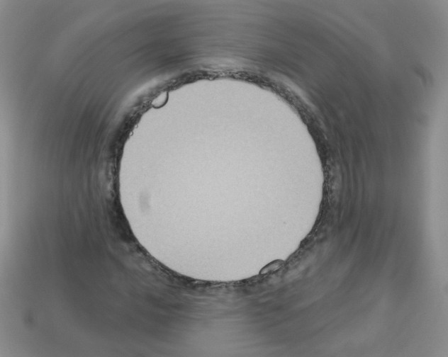 X0000112961016200910081041