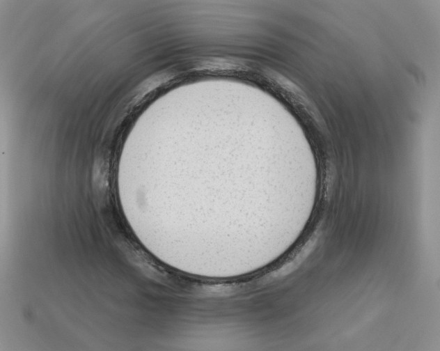 X0000112961017200910081041