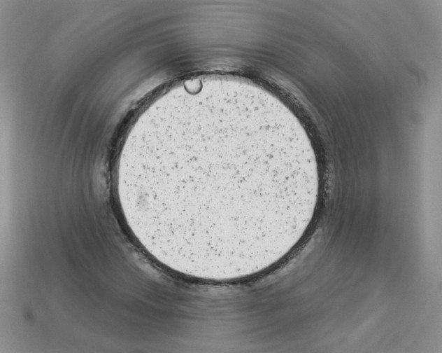 X0000112961018200910081041