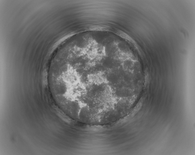 X0000112961019200910081041