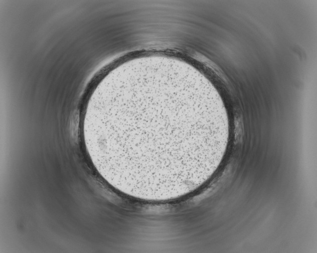 X0000112961021200910081041