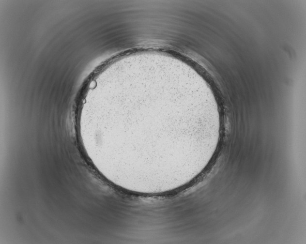 X0000112961022200910081041