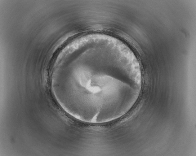 X0000112961023200910081041