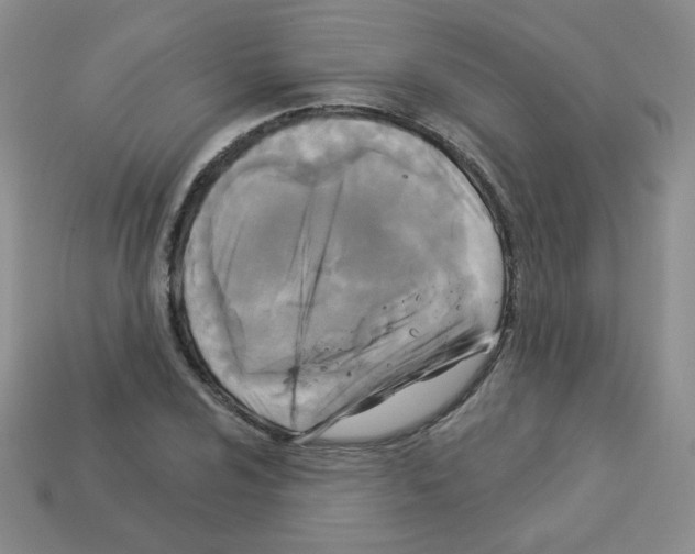 X0000112961024200910081041