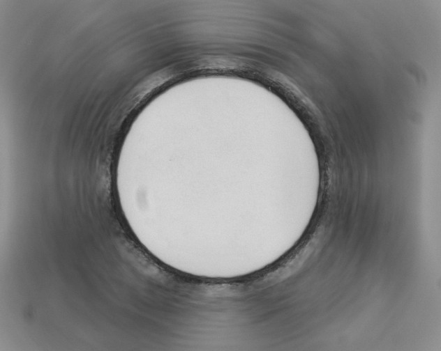 X0000112961025200910081041