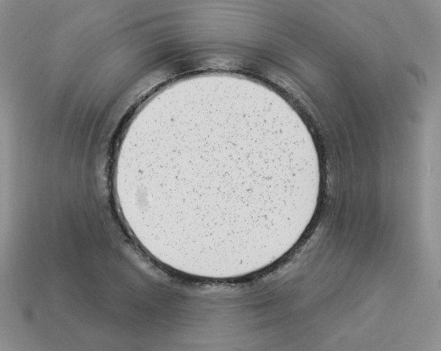 X0000112961026200910081041