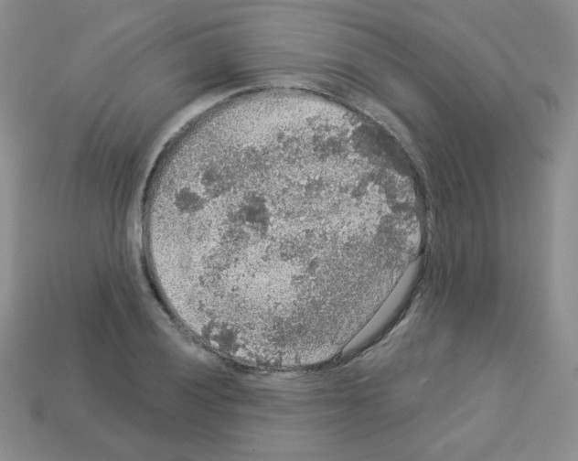 X0000112961028200910081041